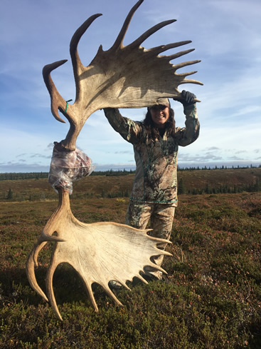 Alaska Moose Hunt