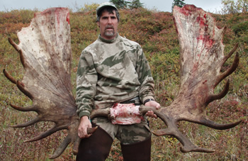 Large Moose antlers with Alaska Big Game Hunting hunter.