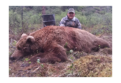 UPDATE: Brutal Bear Baiting is Still Allowed Almost Everywhere in Alaska  For Now