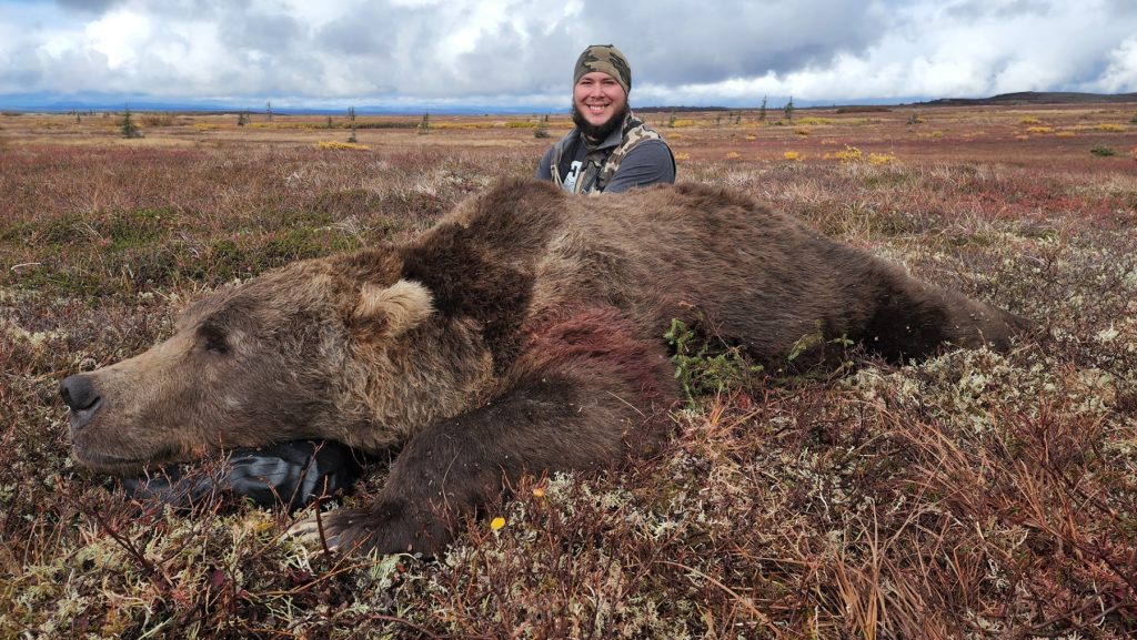 Grizzly Bear Hunts with Alaska Big Game Hunting