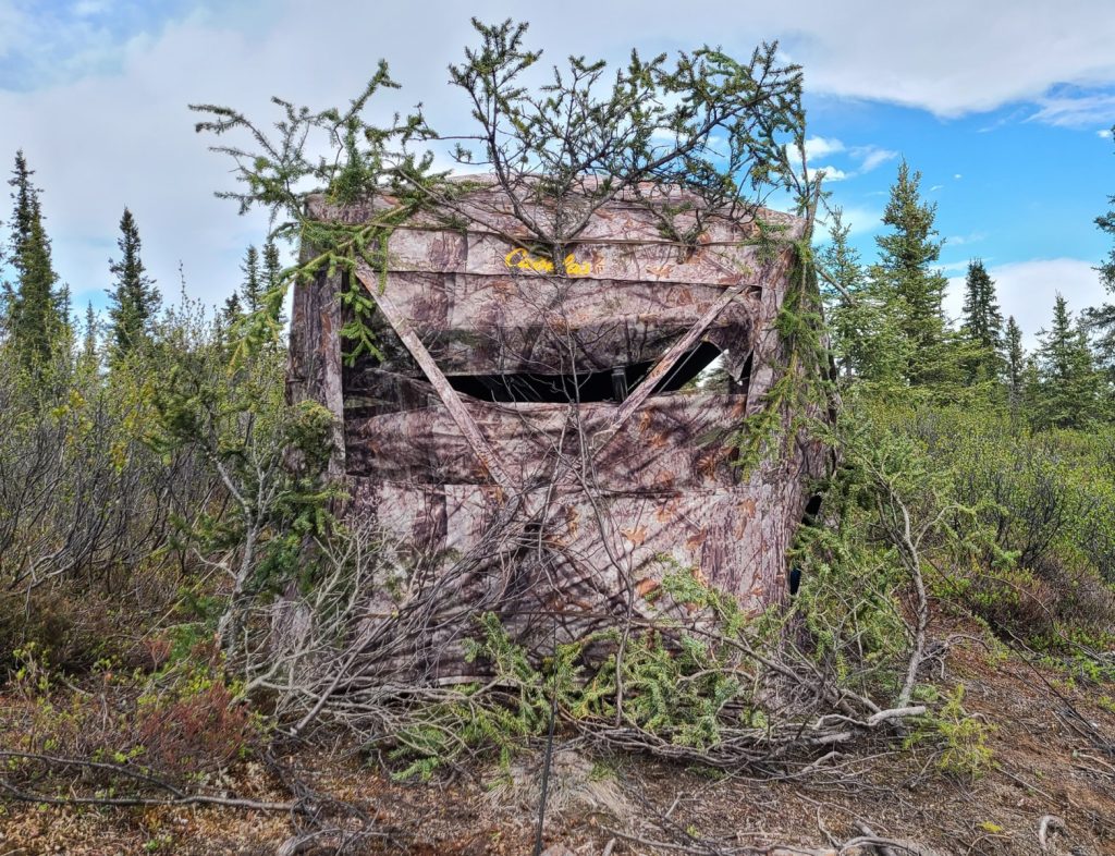 Hunting blind in Alaska