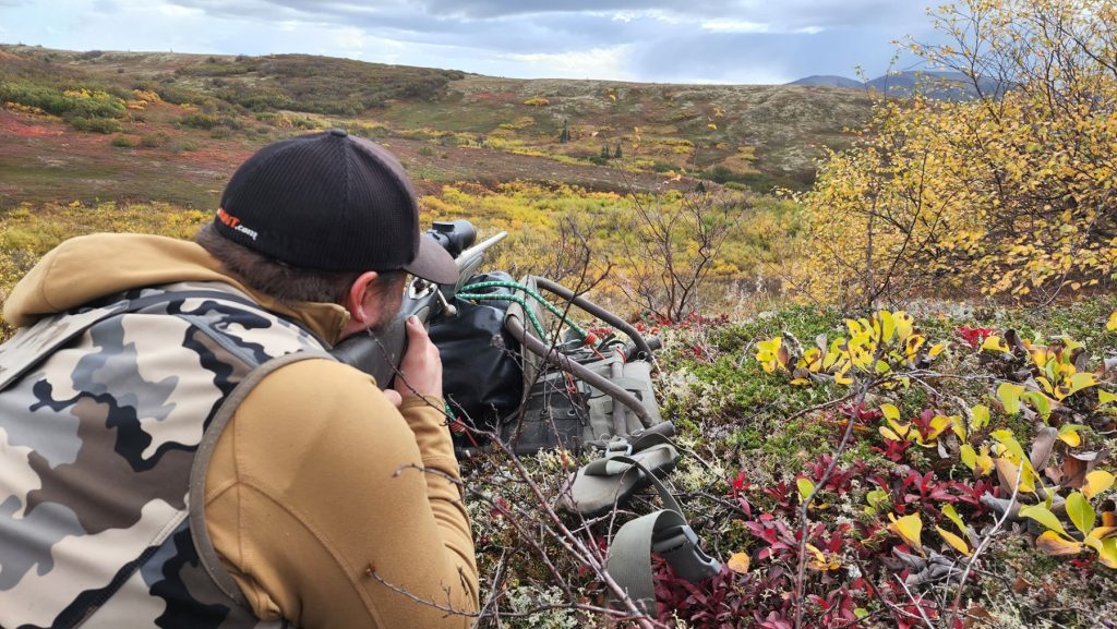 Sighting - Hunting in Alaska