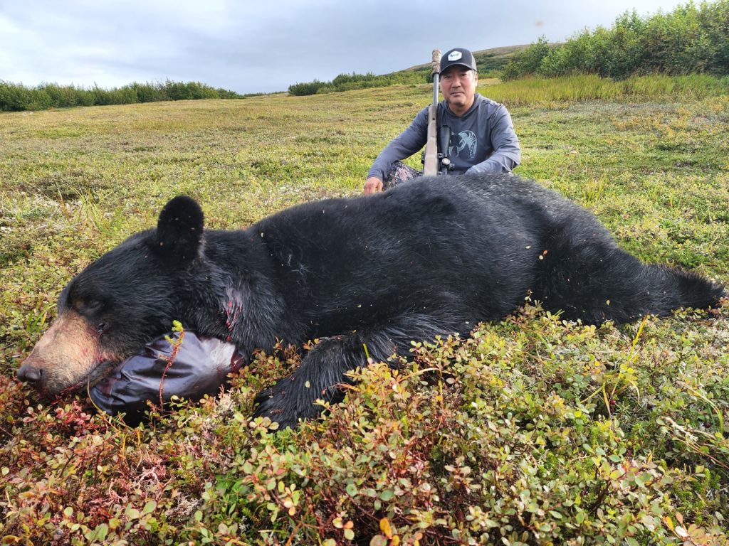 black bear hunt in Alaska